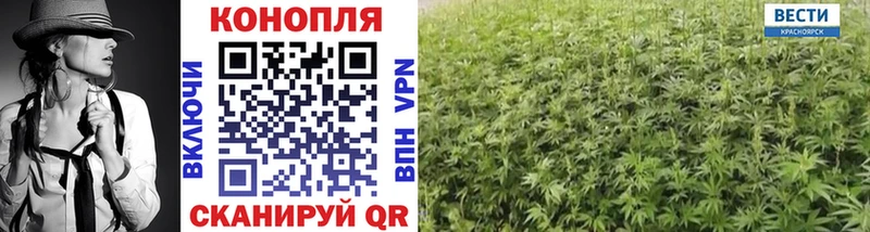 Купить Пушкино ГАШИШ  Alpha-PVP  АМФ  Конопля  МЕТАДОН  Экстази  Псилоцибиновые грибы  Меф 