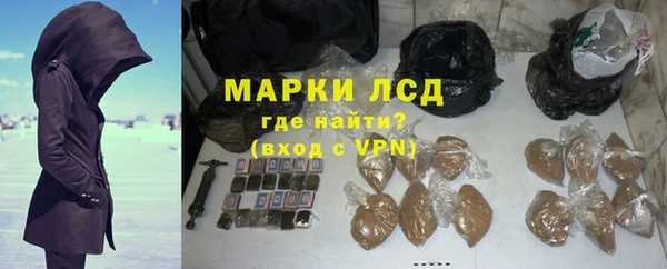сатива Сатка