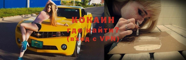 сатива Сатка