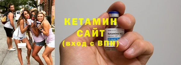 сатива Сатка