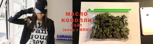 сатива Сатка