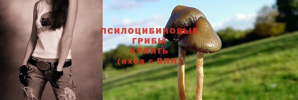 герыч Саяногорск