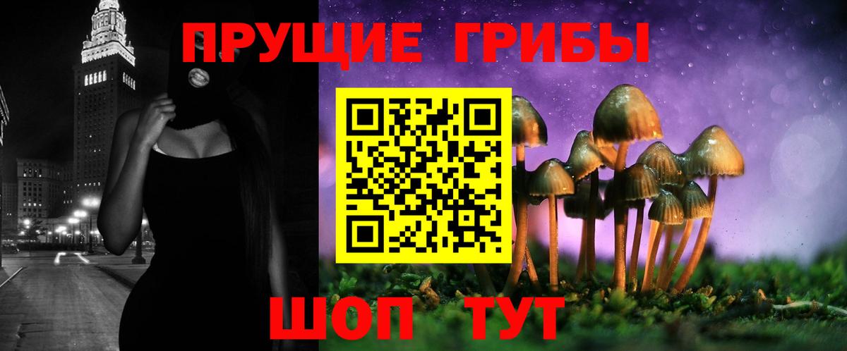 Пушкино  Псилоцибиновые грибы GOLDEN TEACHER  Вход с VPN 